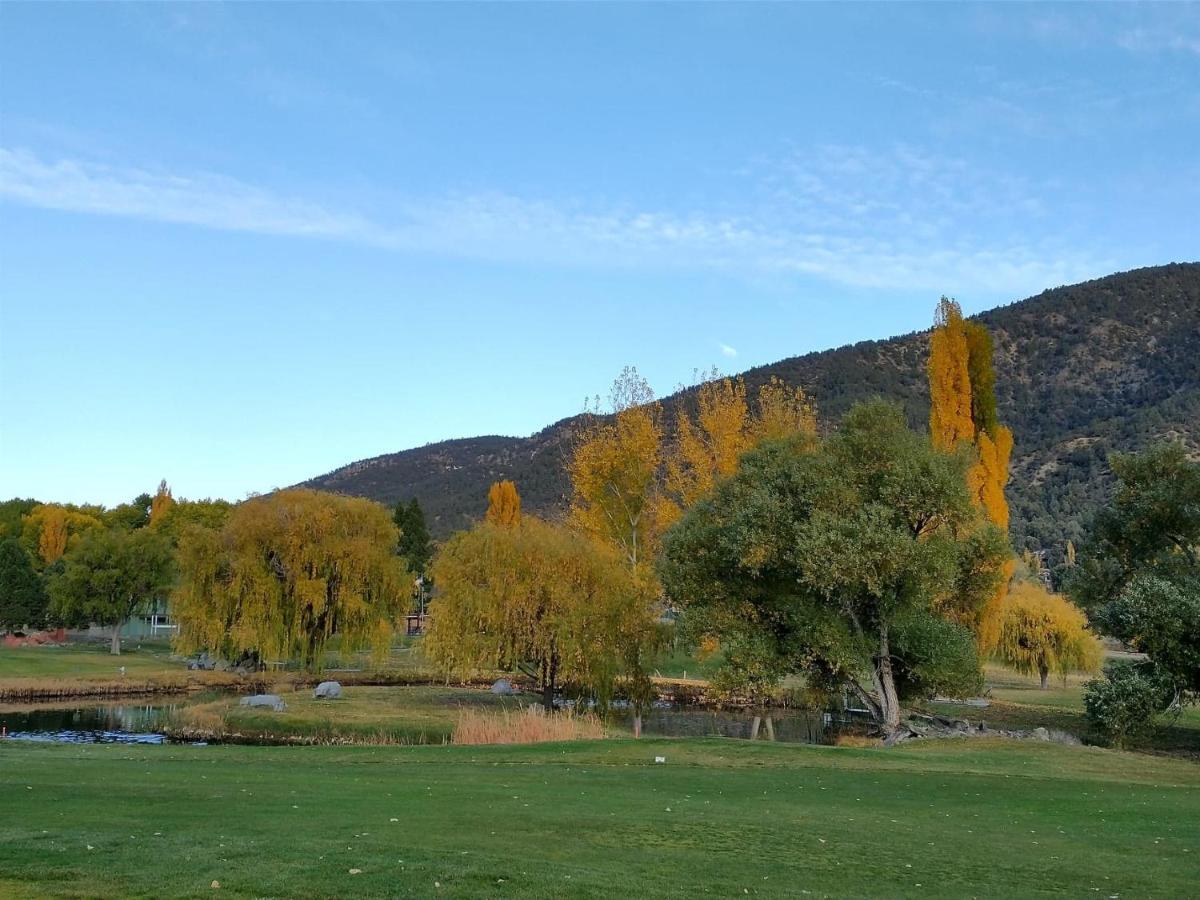 The Old Bear Bnb Bed & Breakfast Pine Mountain Club Exterior photo