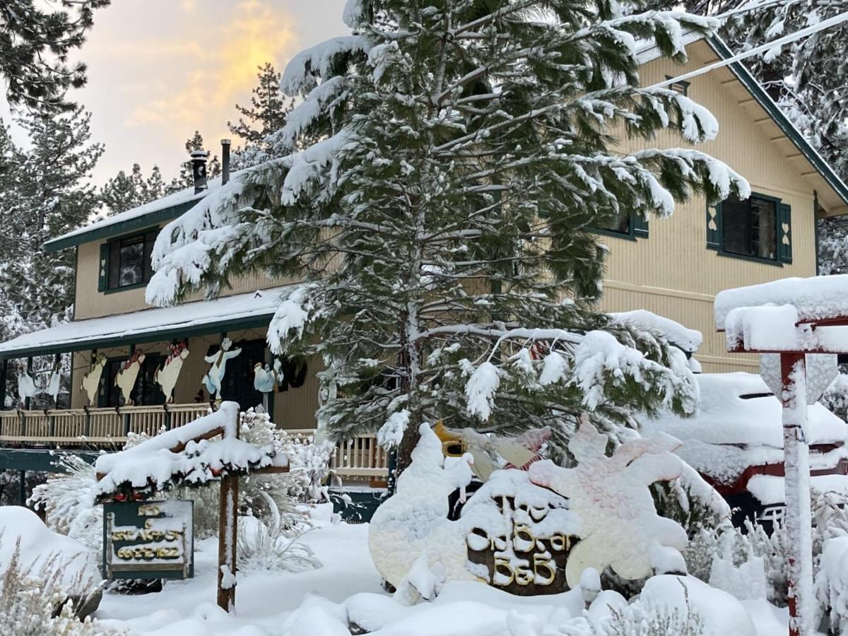 The Old Bear Bnb Bed & Breakfast Pine Mountain Club Exterior photo